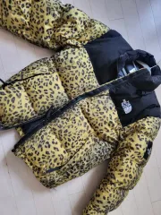 THE NORTH FACE(ザノースフェイス) ダウンジャケット ノベルティ Nuptse(ヌプシ) ㅡ새 ギガー