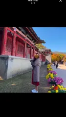 20 1万ウォン Anne Klein(アンクライン) チェック ジャケット ロング丈 ロングコート