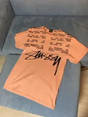 日本で購入 STUSSY(ステューシー) 半袖Tシャツ s