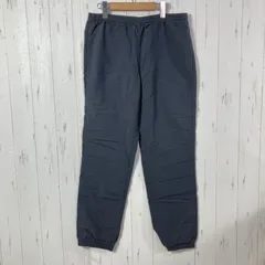 ✉️Men's S グレー系 2017 Patagonia ( パタゴニア ) バギーズ パンツ レギュラー Baggies Pants Regular ナイロン ウェア ボトムス ロングパンツ  z00055756   ロングパンツ ボト