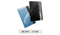 未開封 SEVENTEEN(セブンティーン・セブチ) ほしうじ BEAM アルバム