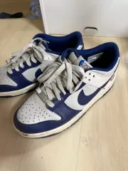 NIKE(ナイキ) ダンク ロー ネッツ 245
