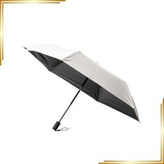 Item thumbnail for item e7d81e07-82c9-49b9-af72-a1cbb94d9bf4