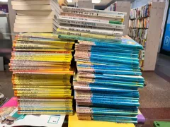 Si Gong Junior 小学校低学年 ペーパーバック 96 巻 セット 小学生用全集