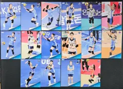 24-25 KOVO レディース ベイ(BAE・ジンソル) IBK企業銀行 ベース フルセット (16枚)