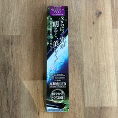 ミクロソリウム トライデント【トロピカ社】10枚+おまけ2枚 - メルカリ