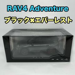 トヨタ博物館正規購入】新型RAV4 カラーサンプル エバーレスト