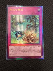 遊戯王　命王の螺旋　レリーフ