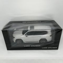 トヨタ博物館正規購入】新型RAV4 カラーサンプル エバーレスト