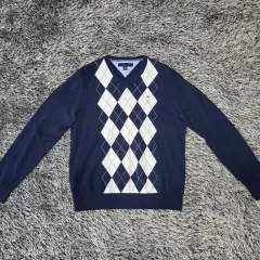 トミーヒルフィガー Vネック ニット / メンズ (95) / ST703 / 状態良し