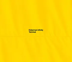 (CD)TERMINAL(初回限定盤)(CD+2DVD)／DOBERMAN INFINITY