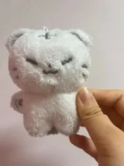 SEVENTEEN(セブンティーン・セブチ) ホシ(HOSHI) ほうち人形