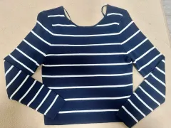 ザラ ストライプ ニット Tシャツ