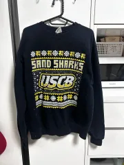 Champion(チャンピオン) ヴィンテージ ネイバー パーカー