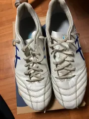 アシックス ds light ag