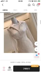 シースルー オーガンザ シャツ Free