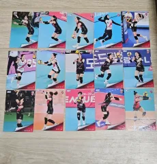 24 - 25 レディース バレーボール 정관장 フルセット 15 章