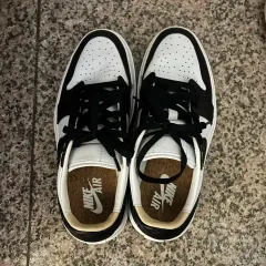 エア ジョーダン 1 エリベート ロー 245