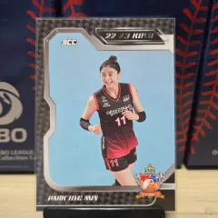 22-23 scc kovo karbon インサントク・パク・ヘミン ベース 出品