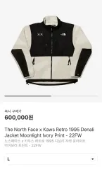 新品 THE NORTH FACE(ザノースフェイス) x カウズ レトロ 1995 デナリ ジャケット L サイズ