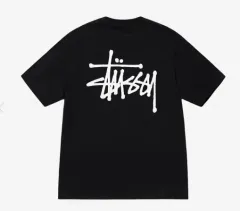 STUSSY ベーシック STUSSY Tシャツ ブラック