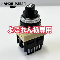 【よこれん様専用】