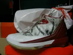 ナイキ エア ジョーダン 22 オメガ 285