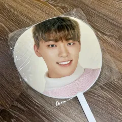 SEVENTEEN(セブンティーン・セブチ) 日本 say the name コンサート ディノ(DINO) うちわ