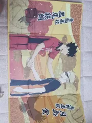 ハイキュー 屏風 ビジュアル色紙 烏野高校 音駒高校 月島 蛍 黒尾 アニメイト 少年漫画