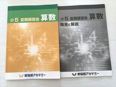 早稲田アカデミー 小5 夏期講習会 テキスト 4教科セット - メルカリ