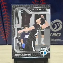 22-23 scc kovo karbon HYUNDAI KAPITAL ムン・ソンミン ベース 出品