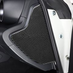 Buell XB ドライブベルトプロテクター Buell XB ドライブベルトプロテクター - メルカリ