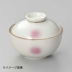 Item thumbnail for item 9c44814b-cef7-4060-8a67-955caa1e46aa