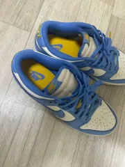 ナイキ ダンクロー コースト