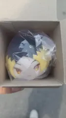 ハイキュー!! もちころりん もちマス 研磨 ハイキュー!! 研磨