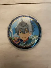 あんさんぶるスターズ！！(あんスタ) 瀬名 泉 缶バッジ