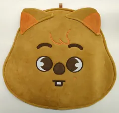 StrayKids 2023MANIAC ENCORE inJAPAN Han IMAGE PICKET CASE SKZOO