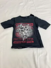 【90㎝】ヒスミニTシャツ