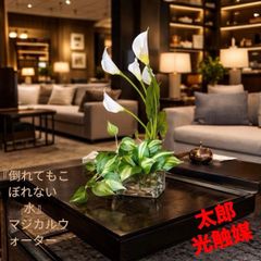 光触媒 人工観葉植物 ウォールグリーン フェイクグリーン 壁掛け 光触媒 人工観葉植物 ウォールグリーン フェイクグリーン 壁掛け