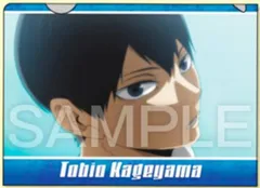 【影山飛雄】ハイキュー!! ミニクリアファイル2