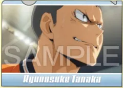 【田中龍之介】ハイキュー!! ミニクリアファイル2