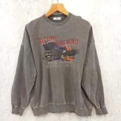 WEGO ウィゴー ピグメント グラフィック プルオーバー トレーナー ユニセックス スウェット グレー Mサイズ ◎、〇◇☆