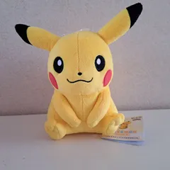 専用ページ　最短日お届け