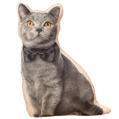 TOMMYFIELD ポメラニアン ぬいぐるみ グッズ 犬ぬいぐるみ リアル 癒し ふわふわ 3D (猫B) [並行輸入品] [猫B]