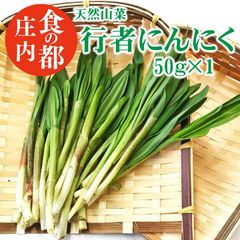生牧草農薬不使用！オーツヘイ✨ネコポス箱込み500g以上 小動物おやつ