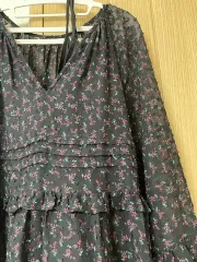 ZARA(ザラ) 刺繡 フリル シフォン ミニ ワンピース ー S size