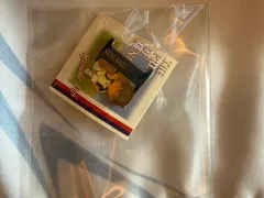 テニス無料 富士山 しゅうすけ ピンバッジ