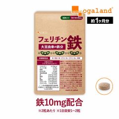 フェリチン鉄の NAGOMI 90粒 和漢の森 - メルカリ