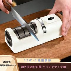 Item thumbnail for item 20c3b688-63ce-463d-82a5-b4a680ab7383