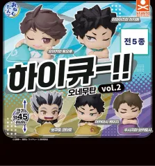 (未開封) ハイキュー おねむたん vol 2 岩泉一